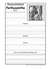 Pflanzensteckbrief-Perlhyazinthe-SW.pdf